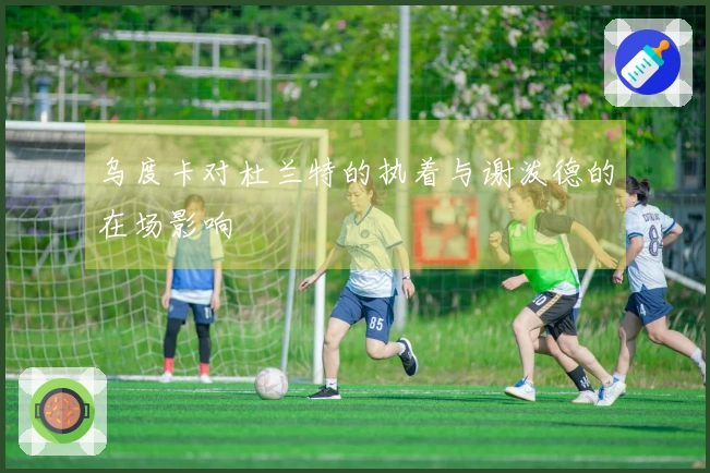 乌度卡对杜兰特的执着与谢泼德的在场影响