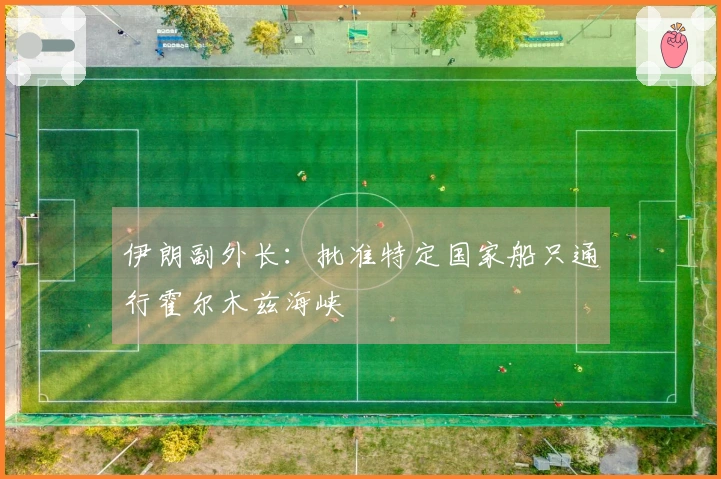 伊朗副外长：批准特定国家船只通行霍尔木兹海峡