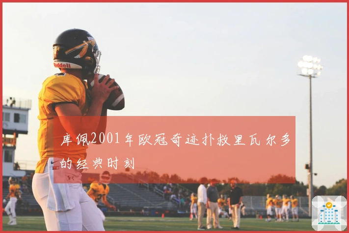 库佩2001年欧冠奇迹扑救里瓦尔多的经典时刻