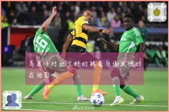 乌度卡对杜兰特的执着与谢泼德的在场影响